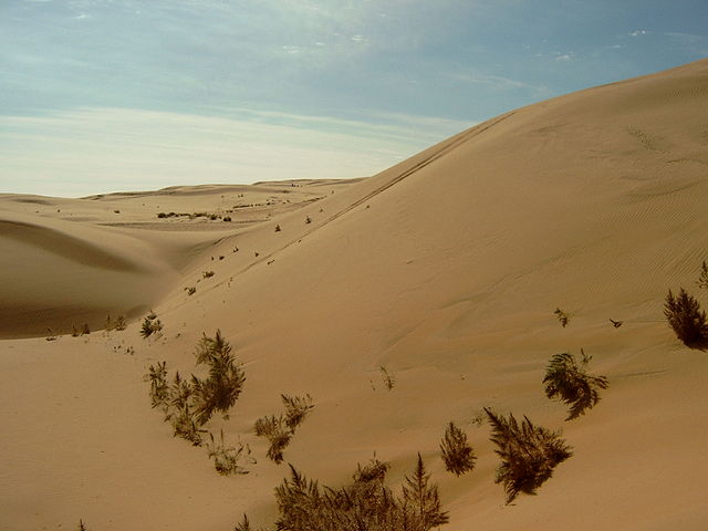 Deserto di Gobi.