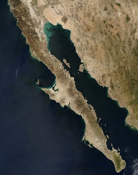 Golfo di California, penisola della california.