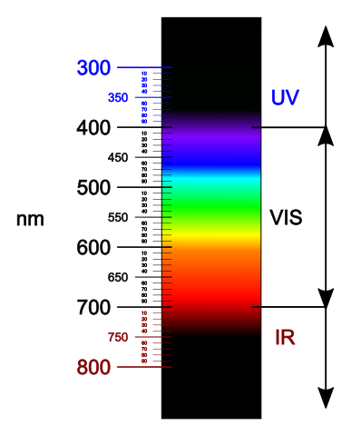 Spettro della luce visibile con attribuzione precisa dei colori alle lunghezze d'onda. Quiz Luce.