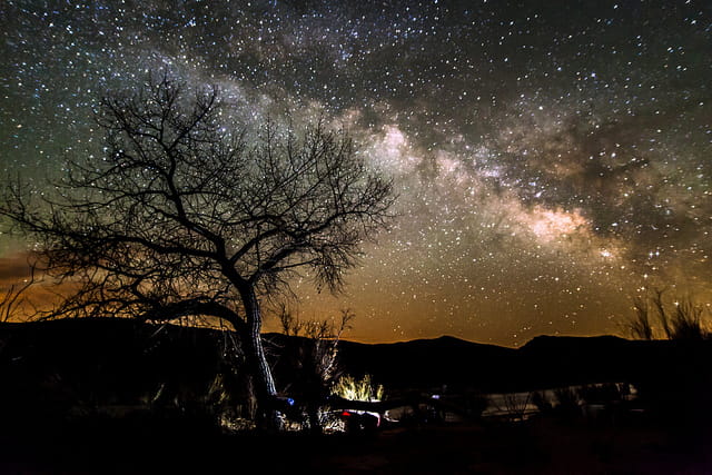 Galassia Via Lattea fotografata dalla Terra, natura, albero, fuoco, notte, stelle, spazio.