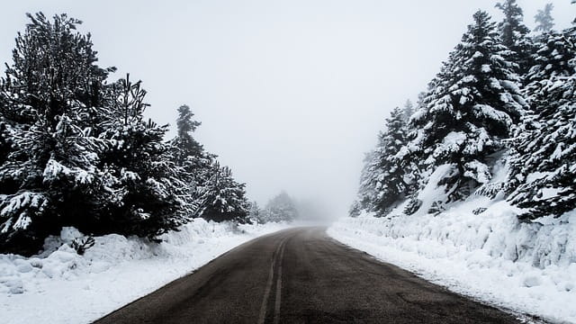 Strada asfaltata libera da ghiaccio e neve. Alberi innevati, inverno, freddo.