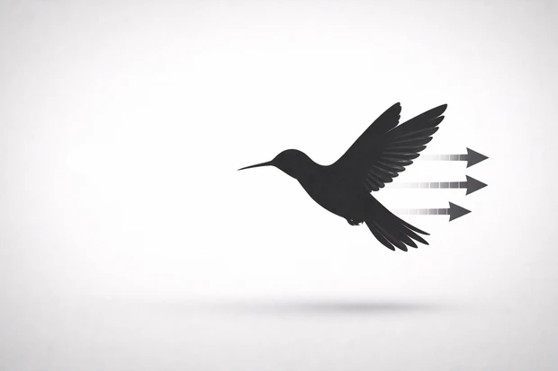 Uccello in volo visto di profilo, con frecce dietro che indicano il movimento all'indietro